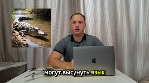 Язык крокодила