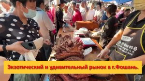 Экзотический и удивительный рынок в городе Фошань, Китай