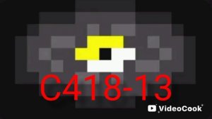 пластинка C418-13