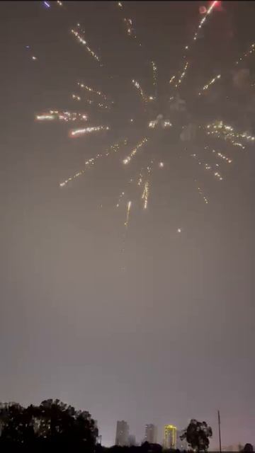 SB08-25 смотреть онлайн