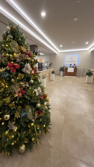 В Alean Family Biarritz с женой, сыном и тёщей