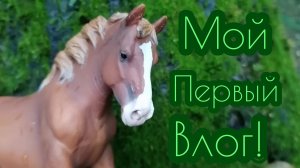 Мой первый влог с фотосета ! ❤️ 🐎