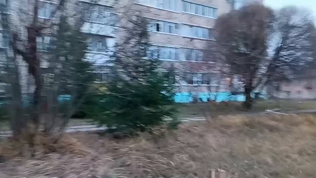 #прогулка красота природы смотреть онлайн