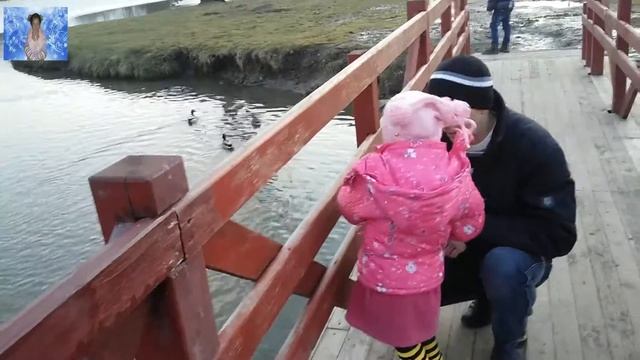 настя со всей семьей пошли в парк кормить уточек. прог? смотреть онлайн