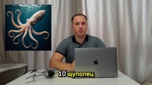 Щупальца кальмара