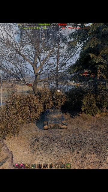 Wilk студзянки везунчик) Shorts