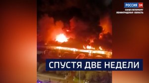 ВЕСТИ 24 Санкт-Петербург от 25.12.2025