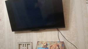 САМЫЙ СТРАННЫЙ ВЗЛОМ КАНАЛА FOLD TV!!!!!!