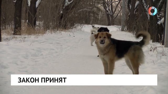 Новости от 25.12.2025 смотреть онлайн