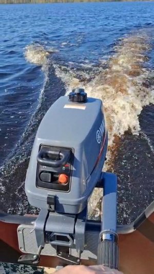 Лодочный мотор Yamaha 3, Флагман ДК 430 игла Ultra, загрузка 120 кг.