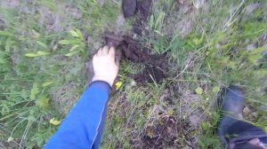 Брошенные старые поля. В поисках металлолома. Металлокоп