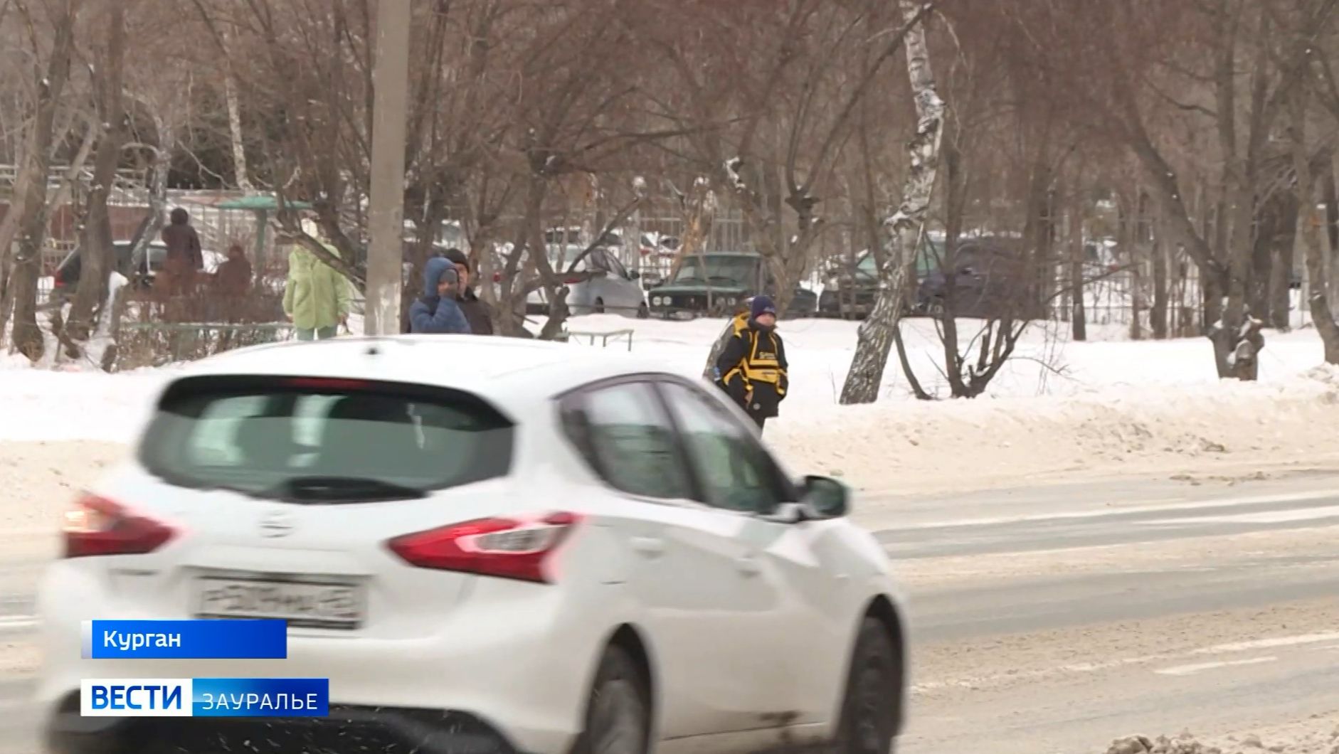 В Кургане ловили пешеходов-нарушителей смотреть онлайн