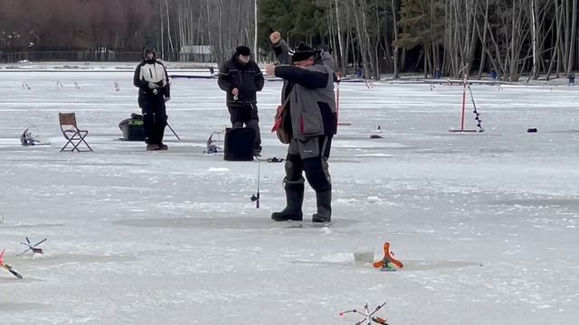 Поимки форели после запуска. смотреть онлайн
