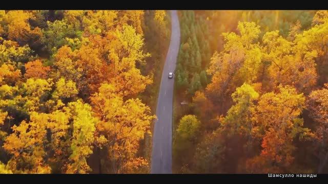 Коран сура  Та Ха  видео 4к Миншави -Minshawiy