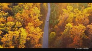 Коран сура  Та Ха  видео 4к Миншави -Minshawiy