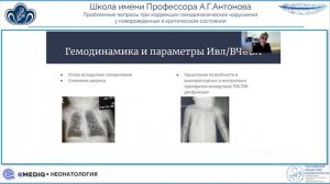 eMediQ • Неонатология | Проблемные вопросы при коррекции гемодинамических нарушений у новорожденных