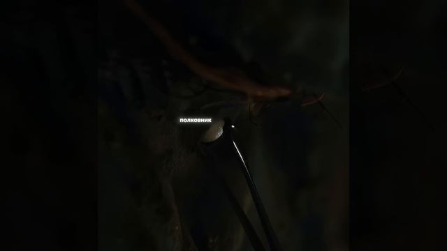 Мы разозлили морской народ смотреть онлайн