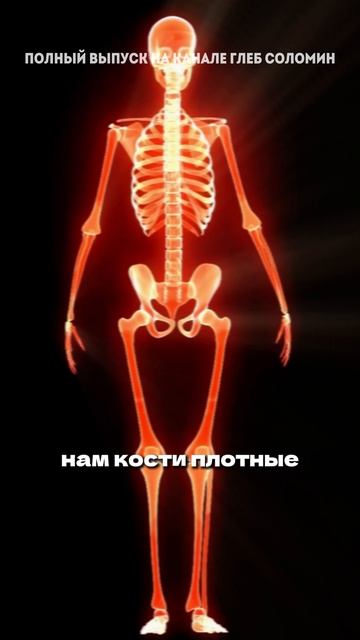 Как правильно заниматься спортом смотреть онлайн