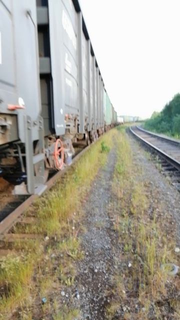 СвЖД подготовила к реконструкции участок Коротчаево — Новый Уренгой смотреть онлайн