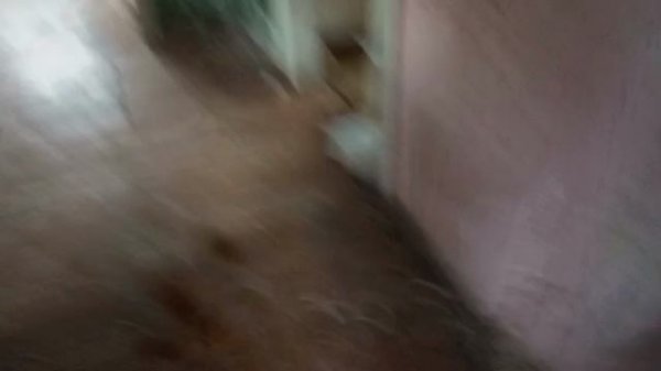 ТОП 3 ЗАБРОШЕК _[Zak 055]