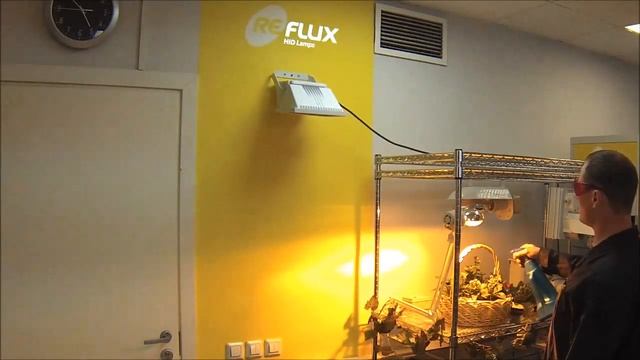 ДНаЗ Reflux против ПШИКа! Опрыскаем лампу водой - ВЗОРВЁТСЯ?