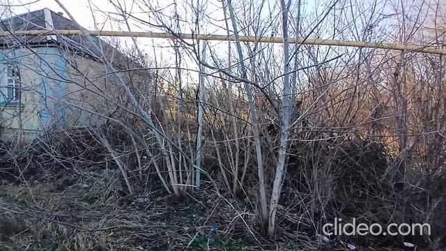 Участок с домом в с.Насоново