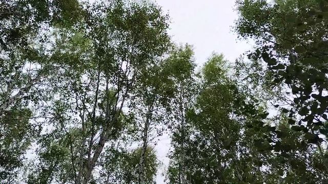 Клип Россия смотреть онлайн