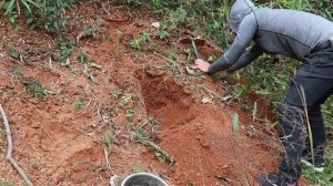 Поиск золотых самородков.