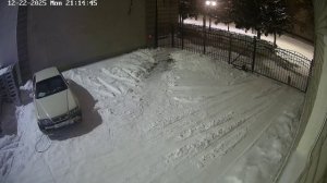 Рысь у ворот двора