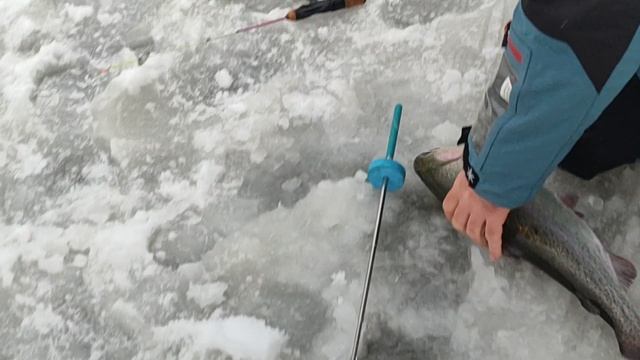 Основной водоём. На малька. смотреть онлайн