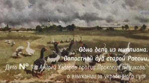 Дело № 98. Андрей Хабаров против Прокопия Новикова: о взыскании за украденного гуся