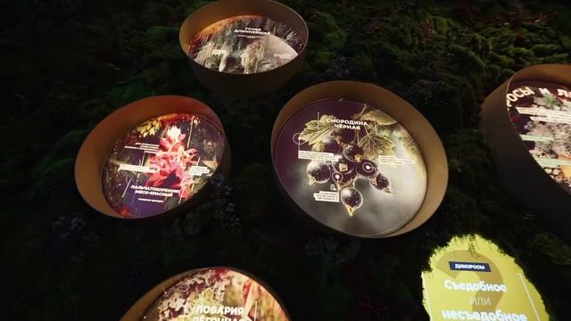 Сургутская делегация приняла участие в открытии филиала Национального центра «Россия» смотреть онлайн