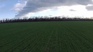 Охота на зайца - второй шанс был оправдан...