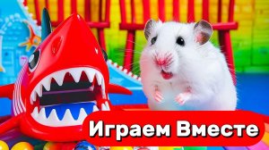 ХОМЯК ВЫБИРАЕТСЯ ИЗ СЕКРЕТНОЙ ХОМЯЧЕЙ ТЮРЬМЫ ! Играем ВМЕСТЕ ! Помогаем выбраться из лабиринта !