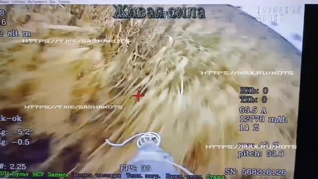 Свежий объективный контроль и уничтоженный Леопард (1).