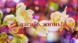 СПАСИБО,  ЖИЗНЬ !