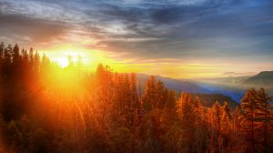 Прот. Геннадий Заридзе - Дар (Странник Духовные канты под гитару)