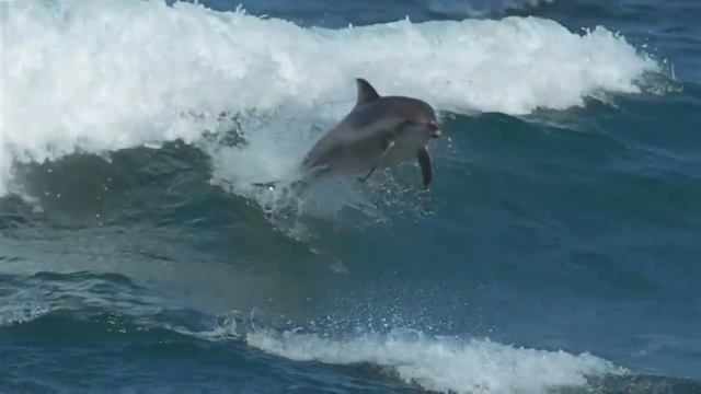 Pink Floyd - Marooned смотреть онлайн
