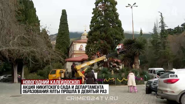 Время наряжать и наряжаться: какие растения украшают на юге Крыма к Новому году и Рождеству? смотреть онлайн