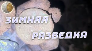 1812 / Зимняя разведка / 5 копеек Екатерины и чешуя / Поиск монет и кладов с XP Deus 2
