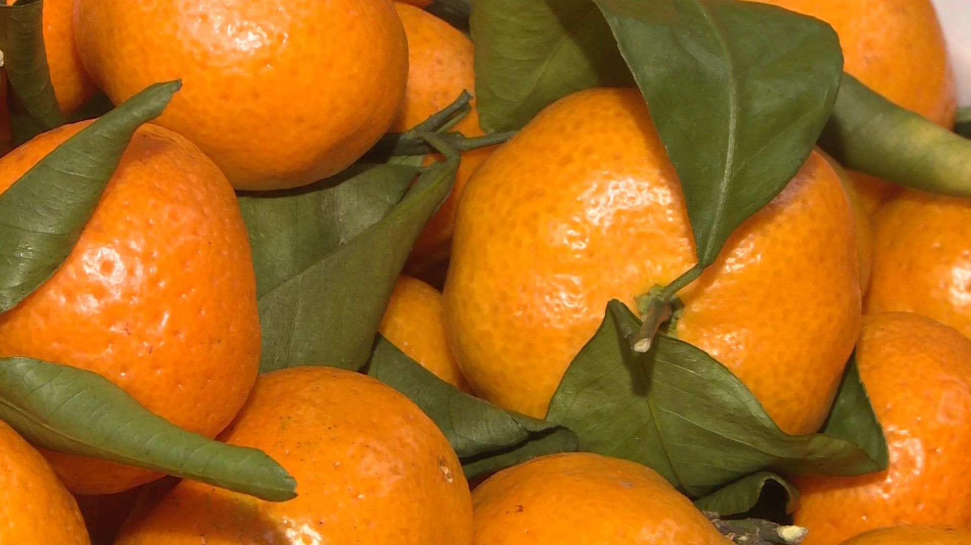 Вкус праздника: как выбрать идеальные мандарины смотреть онлайн