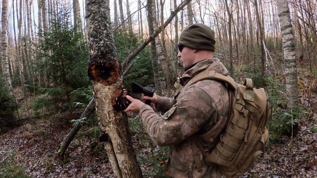 Сбор и дегустация чаги. Медведь рядом. смотреть онлайн