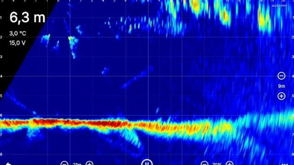 Panoptix нервно закурил... Accuphy Ping Live sonar. Зимой со льда