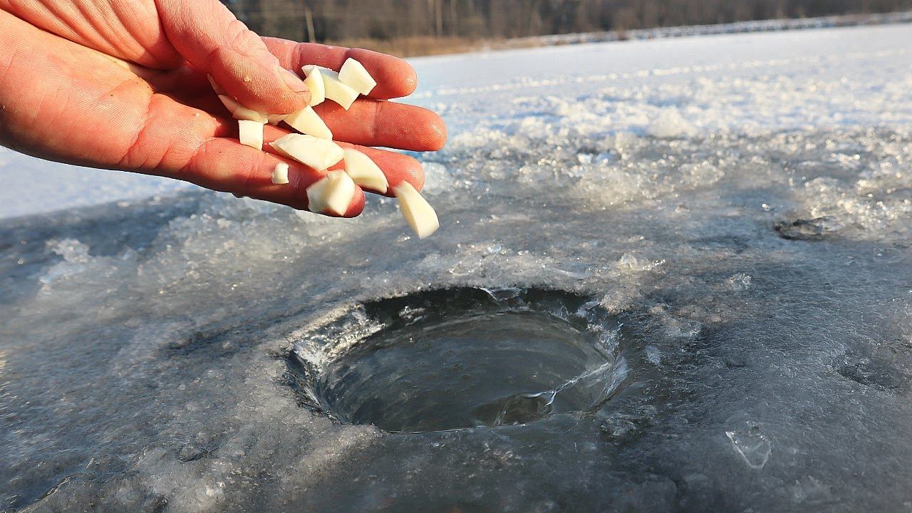НЕОЖИДАННО! ЭТО СОБИРАЕТ КАРАСЯ ЛЕЩА ПЛОТВУ ЗИМОЙ ПОД ЛУНКОЙ! ВЗБЕЙТЕ В БЛЕНДЕРЕ И ДОБАВЬТЕ ВОДЫ. смотреть онлайн