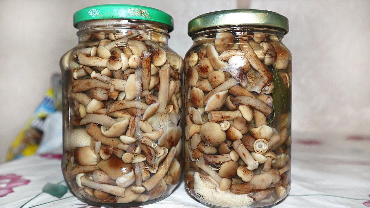 Так меня научила солить опята бабушка 20 лет назад. До сих пор не встретила более вкусного рецепта. смотреть онлайн