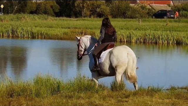 Mateos & PSM - Your Woman смотреть онлайн