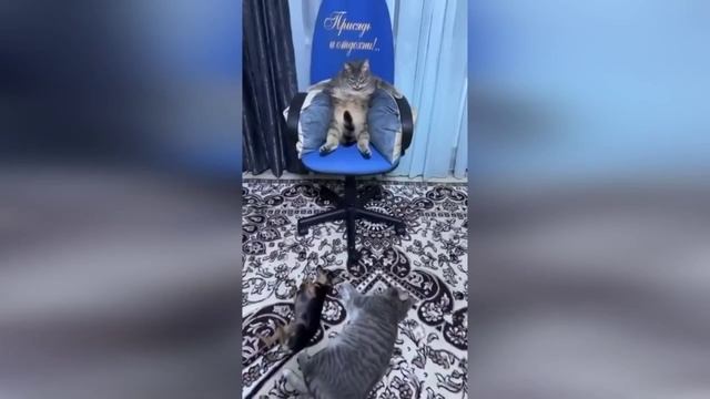 "Грех не должен над вами господствовать, ибо вы не под Законом, но под Благодатью" / Римл. 6:14 смотреть онлайн