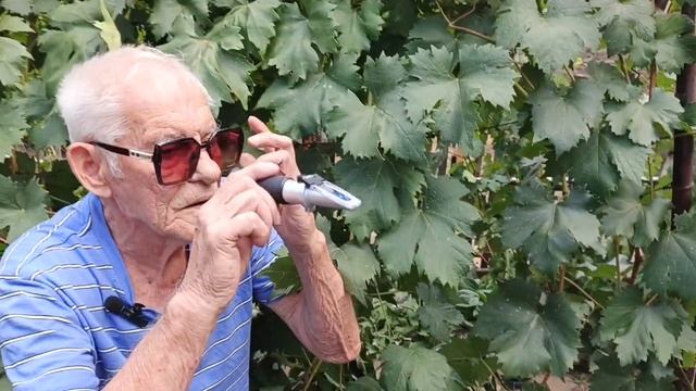 Данило,Карвина, Лолита Торрес,у Шульгинова В.Н.,селекц? смотреть онлайн