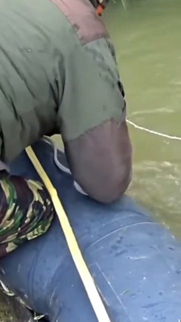 Сом.mp4 смотреть онлайн