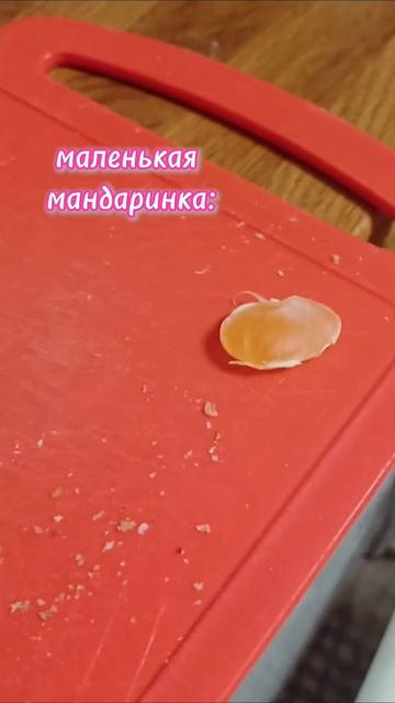 ахаха,так всегда😂#мандаринка #мандарин #светка #тренд #танцы #ахах